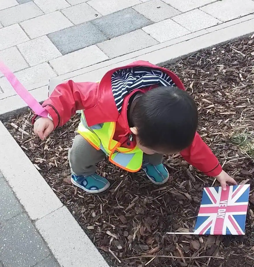 Monkey Puzzle Marleigh VE Day 2025