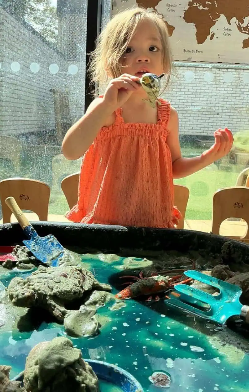 Pre-School Fossil Hunters and Seaside Explorers (7)